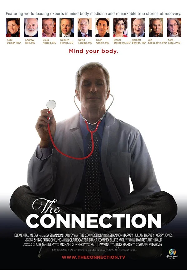 imgi_23_The-Connection-Poster-Medium